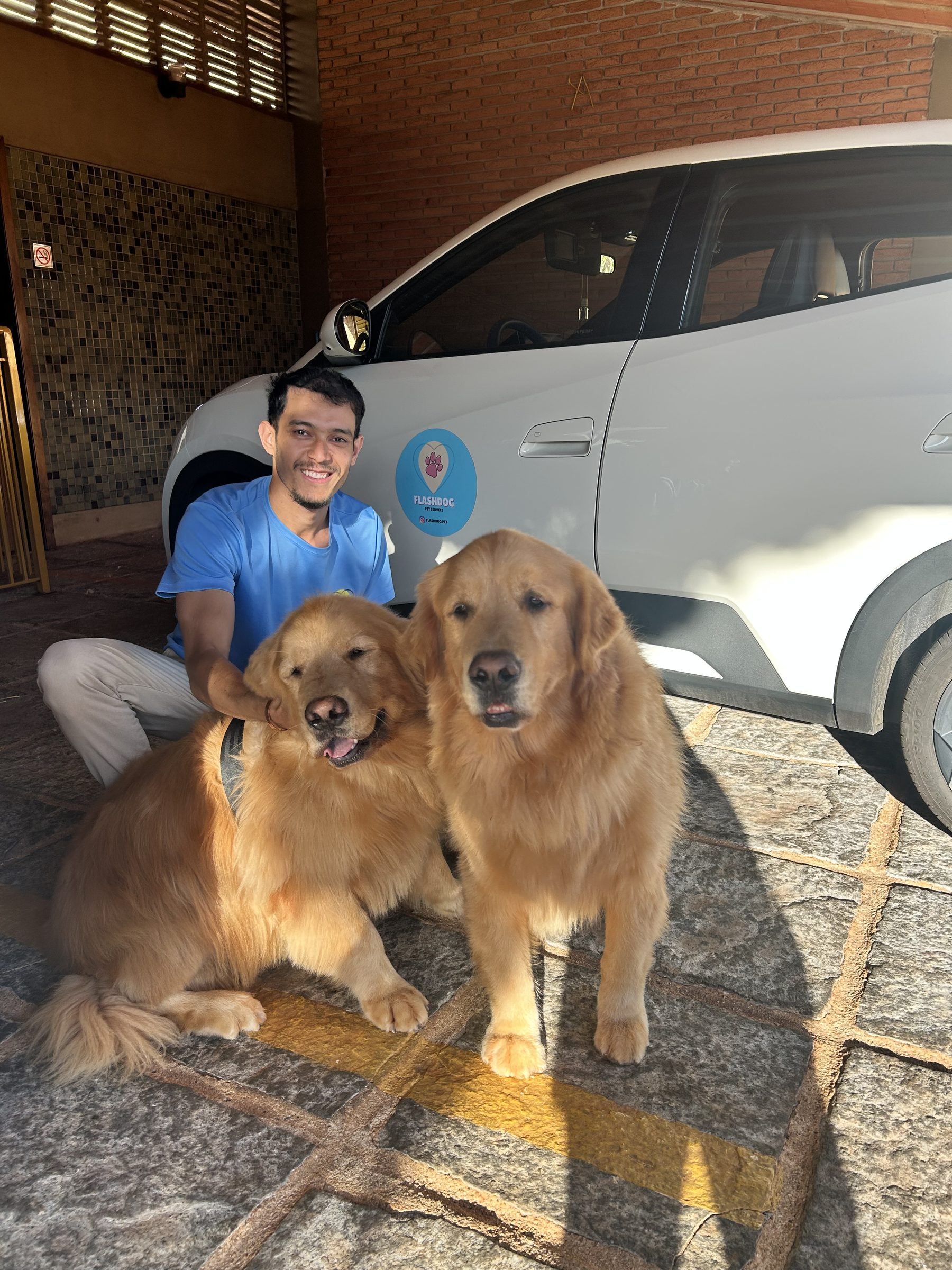 Atendimento Flashdog com dois goldens retrievers e motorista em frente ao veículo