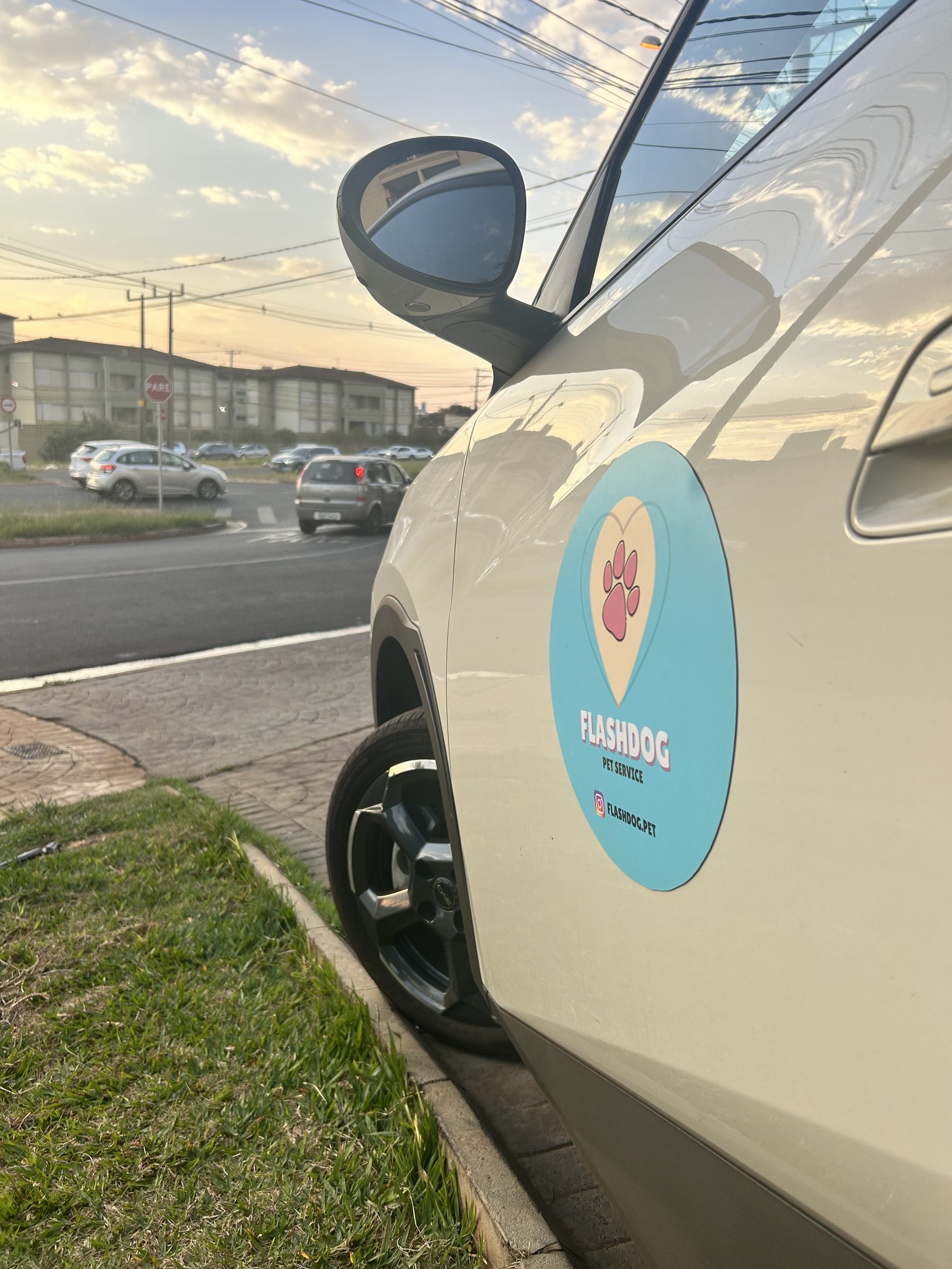 Carro Flashdog adesivado na rua
